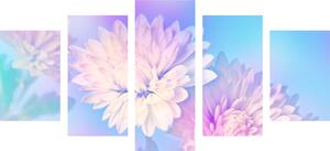 5-częściowy obraz kwiat chryzantemy