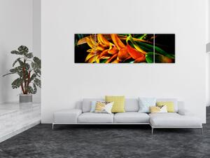 Obraz pomarańczowego kwiatu (170x50 cm)