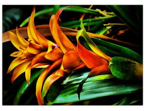 Obraz pomarańczowego kwiatu (70x50 cm)