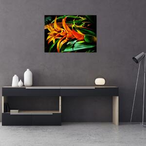Obraz pomarańczowego kwiatu (70x50 cm)