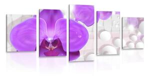 5-częściowy obraz orchidea na abstrakcyjnym tle