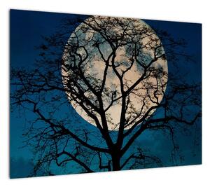 Obraz drzewa z pełnią księżyca (70x50 cm)