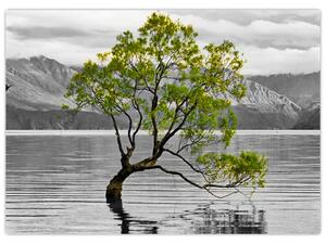 Obraz na szkle drzewa na środku jeziora (70x50 cm)