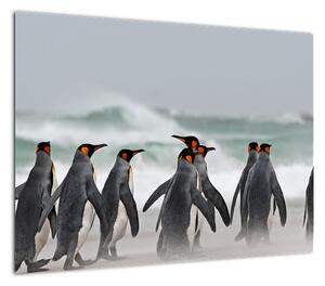Obraz pingwinów nad oceanem (70x50 cm)