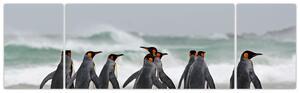 Obraz pingwinów nad oceanem (170x50 cm)
