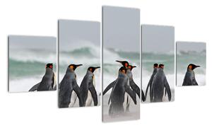 Obraz pingwinów nad oceanem (125x70 cm)