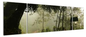 Obraz porannej mgły (170x50 cm)
