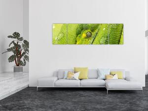 Obraz węża (170x50 cm)