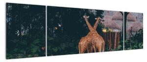 Obraz dwóch żyraf (170x50 cm)