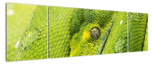 Obraz węża (170x50 cm)