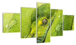 Obraz węża (125x70 cm)