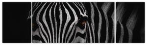 Obraz zebry (170x50 cm)