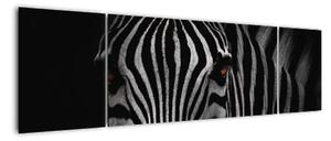 Obraz zebry (170x50 cm)