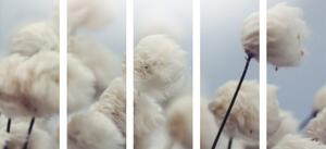 5-częściowy obraz arktyczne kwiaty bawełny