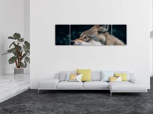 Obraz wilka (170x50 cm)