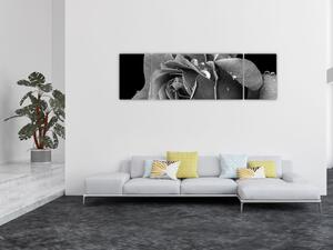 Obraz róży - czarno - biały (170x50 cm)