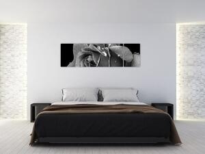 Obraz róży - czarno - biały (170x50 cm)