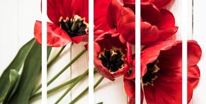 5-częściowy obraz kwitnące czerwone tulipany