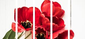 5-częściowy obraz czerwone tulipany w rozkwicie