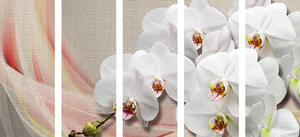 5-częściowy obraz biała orchidea na płótnie