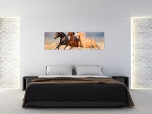Obraz - Dzikie konie (170x50 cm)