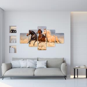 Obraz - Dzikie konie (125x70 cm)