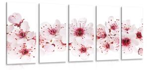 5-częściowy obraz kwiaty wiśni