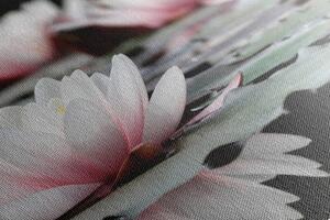 Obraz kwiat lotosu