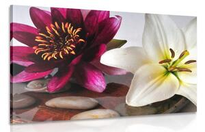 Obraz kwiaty w misie z kamieniami Zen