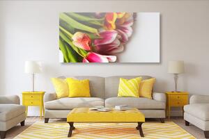 Obraz bukiet kolorowych tulipanów