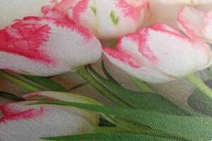 Obraz tulipany wiosenne