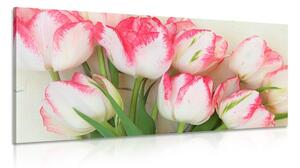 Obraz tulipany w wiosennej odsłonie