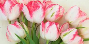 Obraz tulipany w wiosennej odsłonie