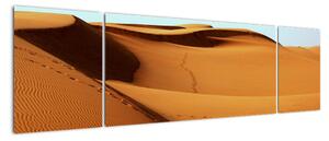 Obraz - Ślady na pustyni (170x50 cm)