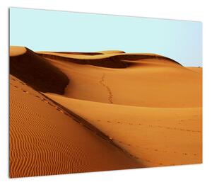Obraz - Ślady na pustyni (70x50 cm)