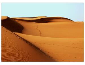 Obraz - Ślady na pustyni (70x50 cm)