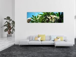 Obraz - Plumeria (170x50 cm)