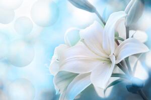 Obraz kwiat białej lilii na abstrakcyjnym tle