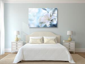 Obraz kwiat białej lilii na abstrakcyjnym tle