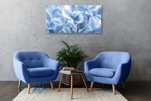 Obraz niebiesko-białe kwiaty hortensji