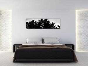 Obraz czarno - biały - palmy (170x50 cm)