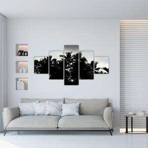 Obraz czarno - biały - palmy (125x70 cm)
