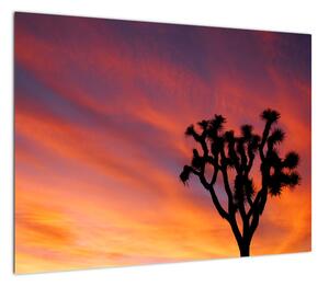 Obraz zachodu słońca nad sylwetką drzewa (70x50 cm)