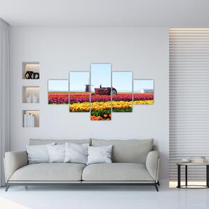 Obraz farmy tulipanów (125x70 cm)