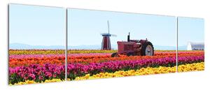 Obraz farmy tulipanów (170x50 cm)