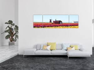 Obraz farmy tulipanów (170x50 cm)