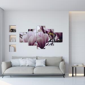 Obraz - Magnolia (125x70 cm)