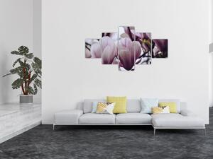 Obraz - Magnolia (125x70 cm)
