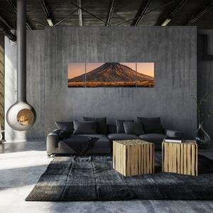Obraz odbicia góry Taranaki, Nowa Zelandia (170x50 cm)