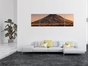 Obraz odbicia góry Taranaki, Nowa Zelandia (170x50 cm)